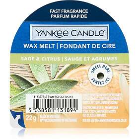 Yankee Candle Sage & Citrus vaxsmältning 22g