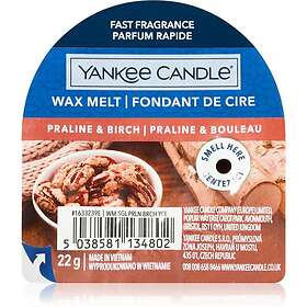 Yankee Candle Praline & Birch vaxsmältning 22g