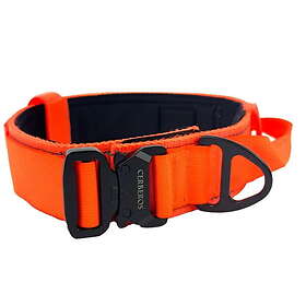 Orange Cerberos Hundhalsband (M)