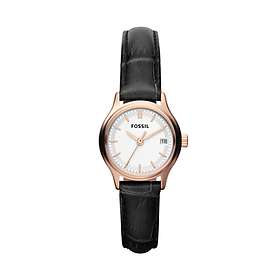 Fossil Archival ES3169