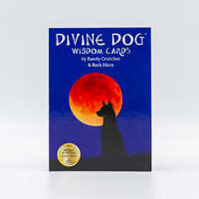 Divine Dog Wisdom Cards