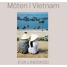 Möten i Vietnam