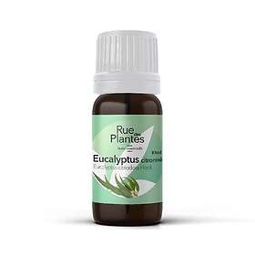 Rue Des Plantes Huile Essentielle Eucalyptus Citronné Bio 10 Ml