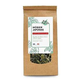 Rue Des Plantes Murier japonais feuilles Tisane 100g