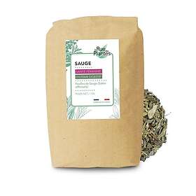 Rue Des Plantes Sauge Feuilles Coupées Tisane 1000G