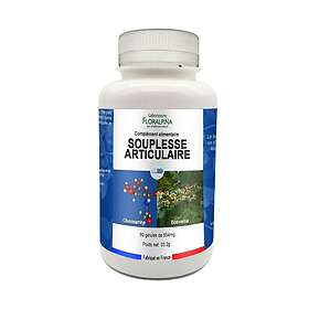 Laboratoire Floralpina Souplesse Articulaire 60 Gélules