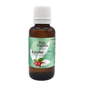 Rue Des Plantes Macérat De Bourgeon Eglantier Bio Gemmothérapie 30 Ml