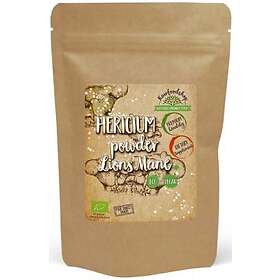 RawFoodShop Hericium Pulver/Lion's Mane EKO 125g