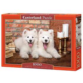 Castorland Pussel Samoyed Puppies Say Hello, 1000 bitar