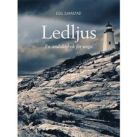Ledljus : en andaktsbok för unga