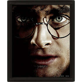 Harry Potter (Harry Vs Voldemort) Framed (häftad, eng)