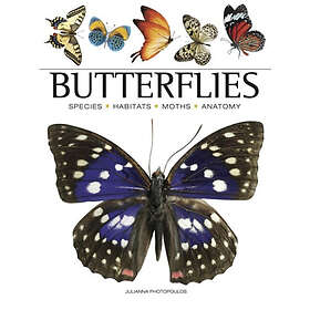 Butterflies (häftad, eng)