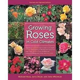 Growing Roses in Cold Climates