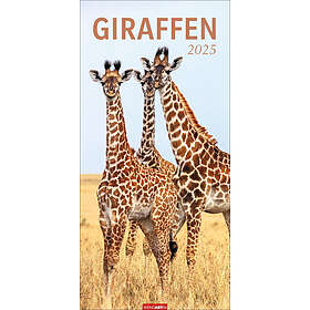 Giraffen Kalender 2025