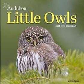 Audubon Little Owls Mini Wall Calendar 2025