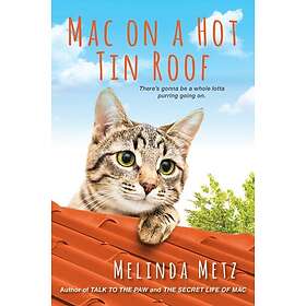 Mac on a Hot Tin Roof