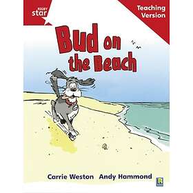 Rigby Star Phonic Guided Reading Red Level Bud On The Beach Teaching