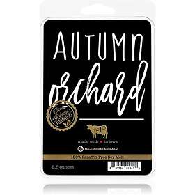 Milkhouse Candle Co. Farmhouse Autumn Orchard vaxsmältning 155g