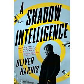 A Shadow Intelligence