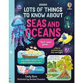 Lots of Things to Know About Seas and Oceans