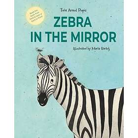 Zebra In The Mirror