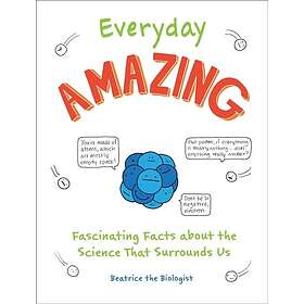 Everyday Amazing