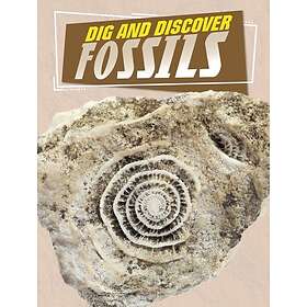 Dig and Discover Fossils