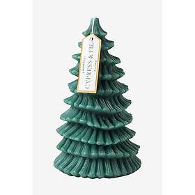 Paddywax Cypress & Fir Tall Tree Scented Candle 20cm