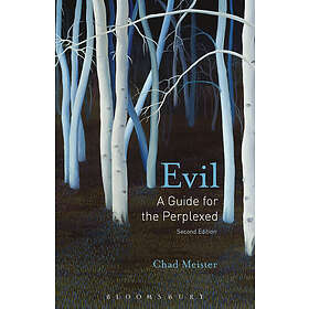 Evil: A Guide for the Perplexed