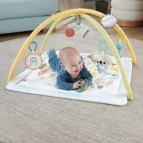 Fisher-Price Simply Senses-babygym HRB15