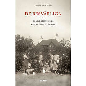 De besvärliga : skyddshemmets vanartiga flickor (bok, danskt band)