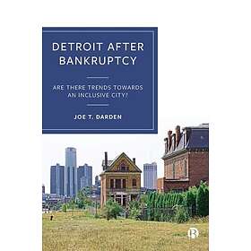 Detroit after Bankruptcy