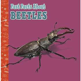 Fast Facts About Beetles