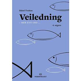Veiledning