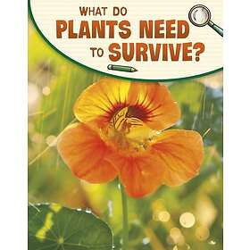 What Do Plants Need to Survive?