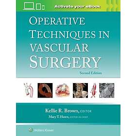 Operative Techniques in Vascular Surgery: Print eBook with Multimedia