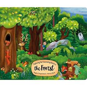 Exploring the Fascinating World of the Forest