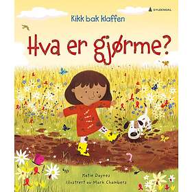 Hva er gjørme?