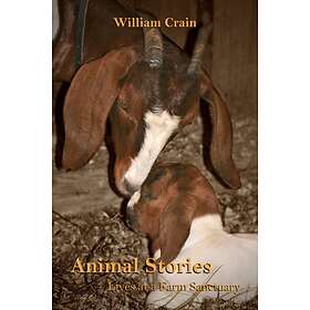 Animal Stories