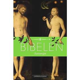 Bibelen i kortversjon