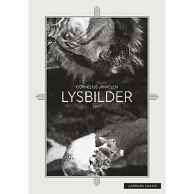 Lysbilder