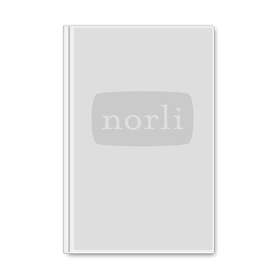 Notatbok Paperblanks Firebird mini linjert