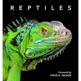 Reptiles