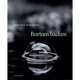 Bortom bäcken