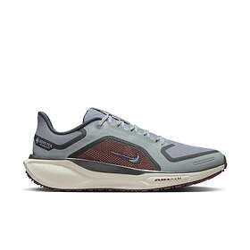 Nike Pegasus 41 GTX (Herr)