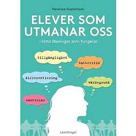 Elever som utmanar oss : lösningar som fungerar