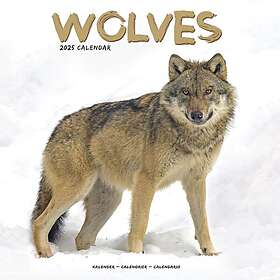 Wolves Calendar 2025 Square Animal Wall Calendar 16 Month