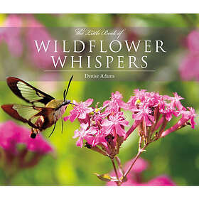 The Little Book of Wildflower Whispers (inbunden, eng)
