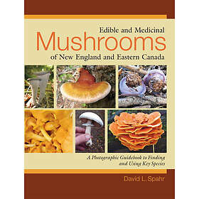 Edible and Medicinal Mushrooms of New England and Eastern Canada (häftad, eng)