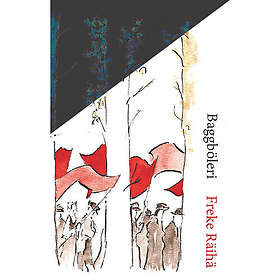 Baggböleri (häftad)